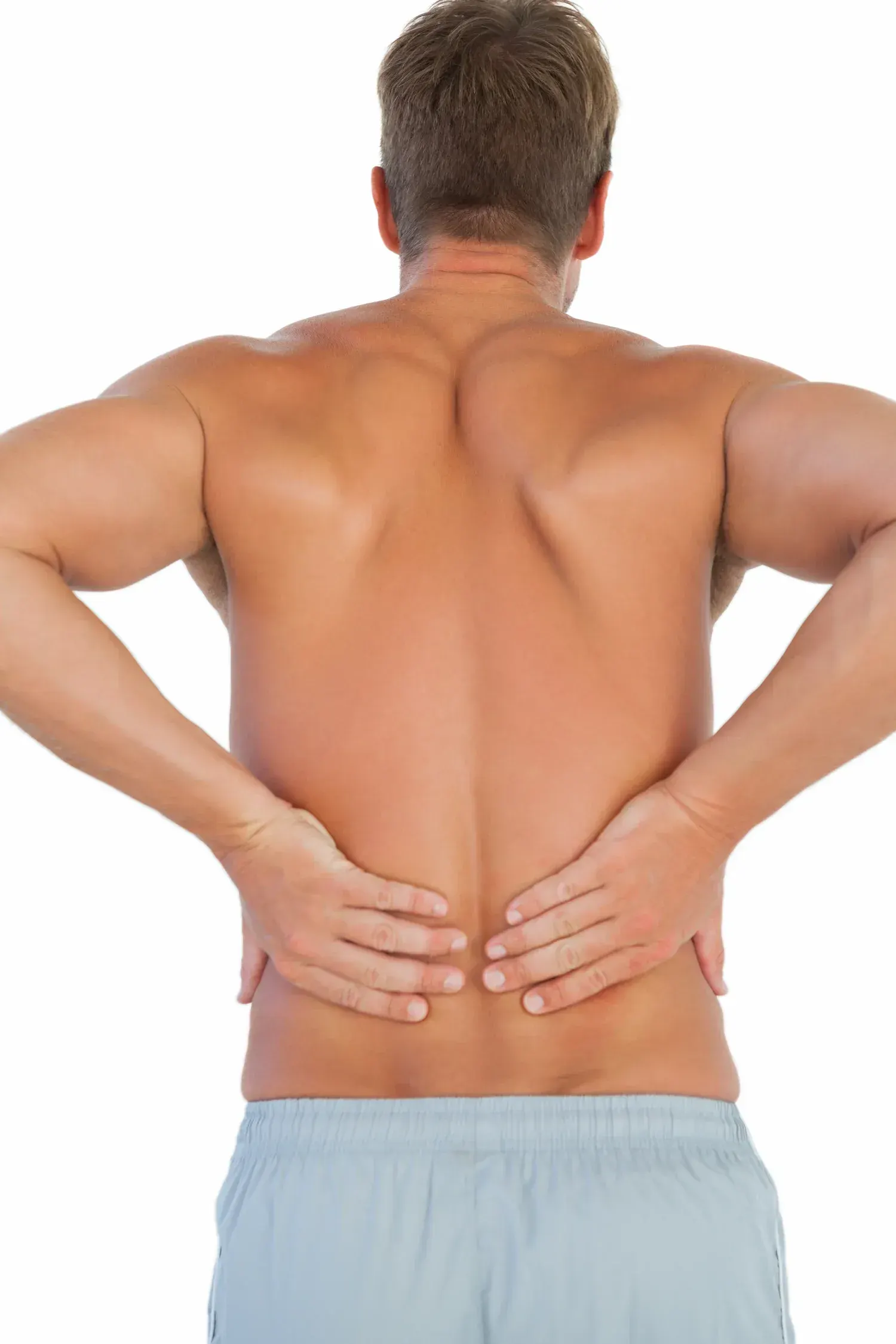 Educational illustration of spinal anatomy and back pain at Bensa Chiropractic Bradenton